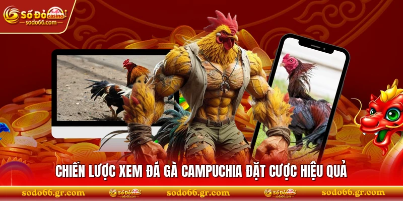 Chiến lược xem đá gà Campuchia đặt cược hiệu quả
