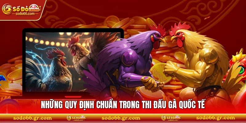 Những quy định chuẩn trong thi đấu gà quốc tế