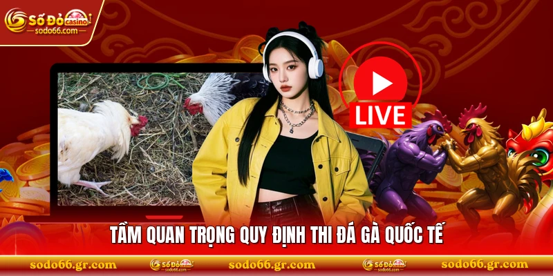 Tầm quan trọng quy định thi đá gà quốc tế